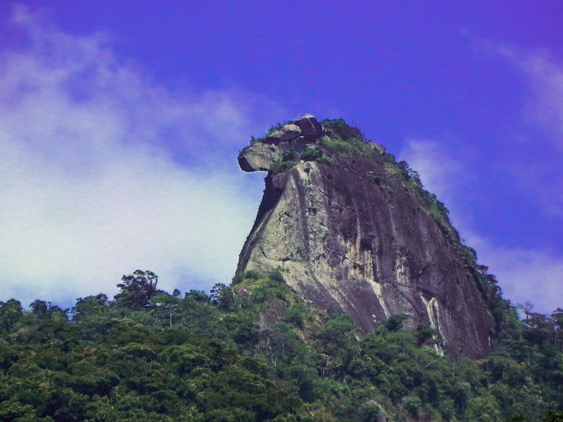 Pico do Papagaio